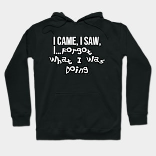Funny relatable ADHD quote. I Came, I Saw, I Forgot What I Was Doing. Hoodie
